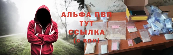 ГАЛЛЮЦИНОГЕННЫЕ ГРИБЫ Няндома