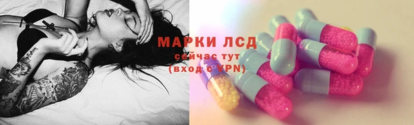 a pvp Новодвинск