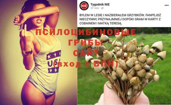 a pvp Новодвинск