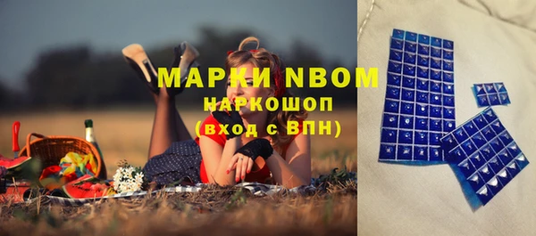 ГАЛЛЮЦИНОГЕННЫЕ ГРИБЫ Няндома
