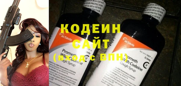 ГАЛЛЮЦИНОГЕННЫЕ ГРИБЫ Няндома