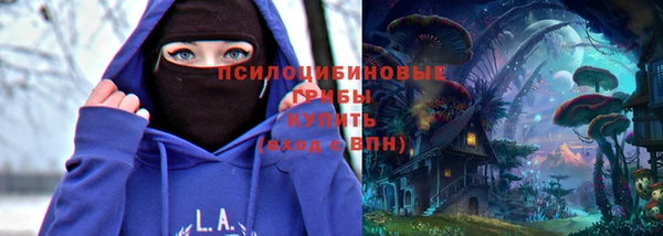 винт Нягань